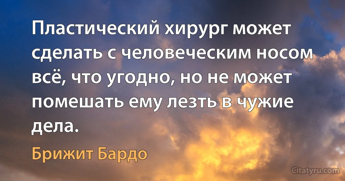 Пластический хирург может сделать с человеческим носом всё, что угодно, но не может помешать ему лезть в чужие дела. (Брижит Бардо)