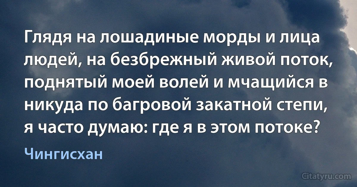 Глядя на лошадиные морды и лица людей, на безбрежный живой поток, поднятый моей волей и мчащийся в никуда по багровой закатной степи, я часто думаю: где я в этом потоке? (Чингисхан)