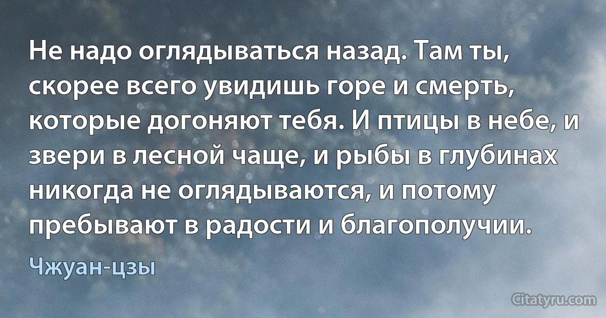 Не надо оглядываться назад. Там ты, скорее всего увидишь горе и смерть, которые догоняют тебя. И птицы в небе, и звери в лесной чаще, и рыбы в глубинах никогда не оглядываются, и потому пребывают в радости и благополучии. (Чжуан-цзы)