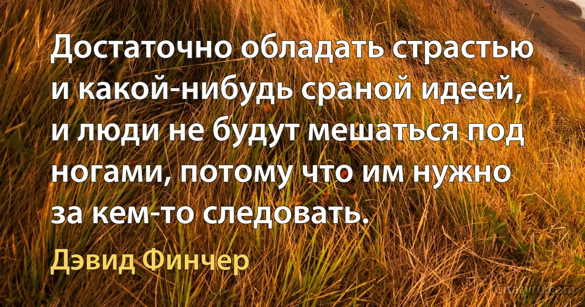 Достаточно обладать страстью и какой-нибудь сраной идеей, и люди не будут мешаться под ногами, потому что им нужно за кем-то следовать. (Дэвид Финчер)