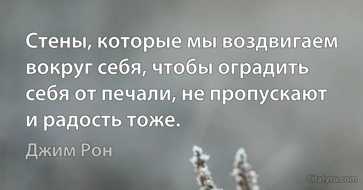 Стены, которые мы воздвигаем вокруг себя, чтобы оградить себя от печали, не пропускают и радость тоже. (Джим Рон)