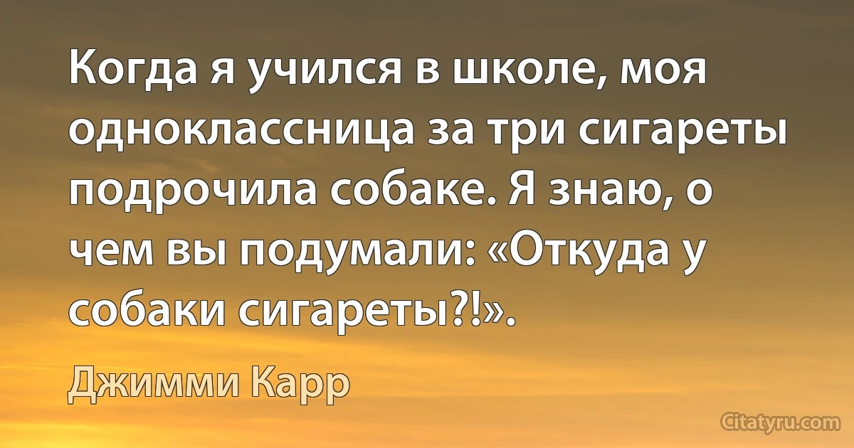 Когда я учился в школе, моя одноклассница за три сигареты подрочила собаке. Я знаю, о чем вы подумали: «Откуда у собаки сигареты?!». (Джимми Карр)