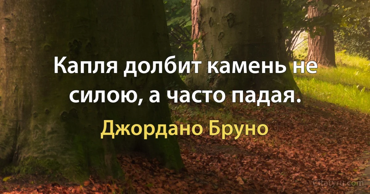 Капля долбит камень не силою, а часто падая. (Джордано Бруно)