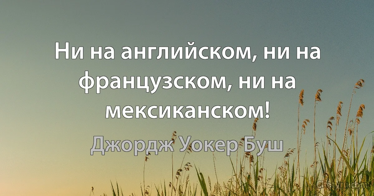 Ни на английском, ни на французском, ни на мексиканском! (Джордж Уокер Буш)