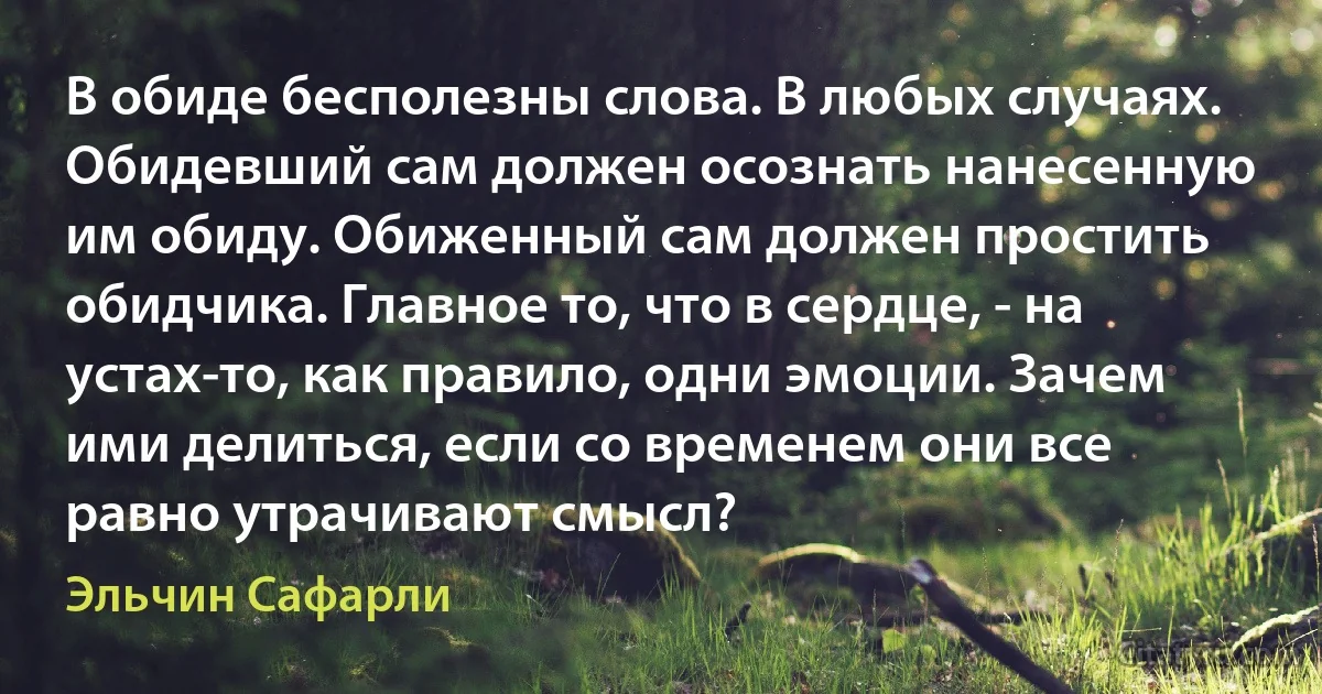 В обиде бесполезны слова. В любых случаях. Обидевший сам должен осознать нанесенную им обиду. Обиженный сам должен простить обидчика. Главное то, что в сердце, - на устах-то, как правило, одни эмоции. Зачем ими делиться, если со временем они все равно утрачивают смысл? (Эльчин Сафарли)