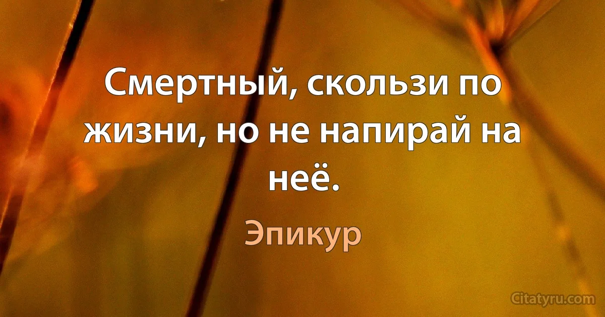 Смертный, скользи по жизни, но не напирай на неё. (Эпикур)