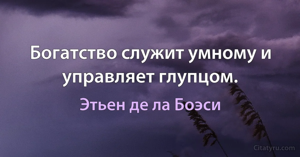 Богатство служит умному и управляет глупцом. (Этьен де ла Боэси)