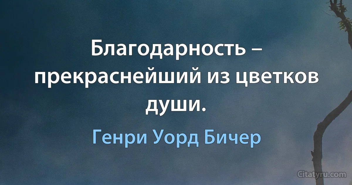 Благодарность – прекраснейший из цветков души. (Генри Уорд Бичер)