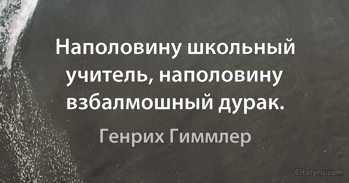 Наполовину школьный учитель, наполовину взбалмошный дурак. (Генрих Гиммлер)