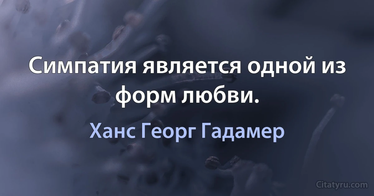 Симпатия является одной из форм любви. (Ханс Георг Гадамер)