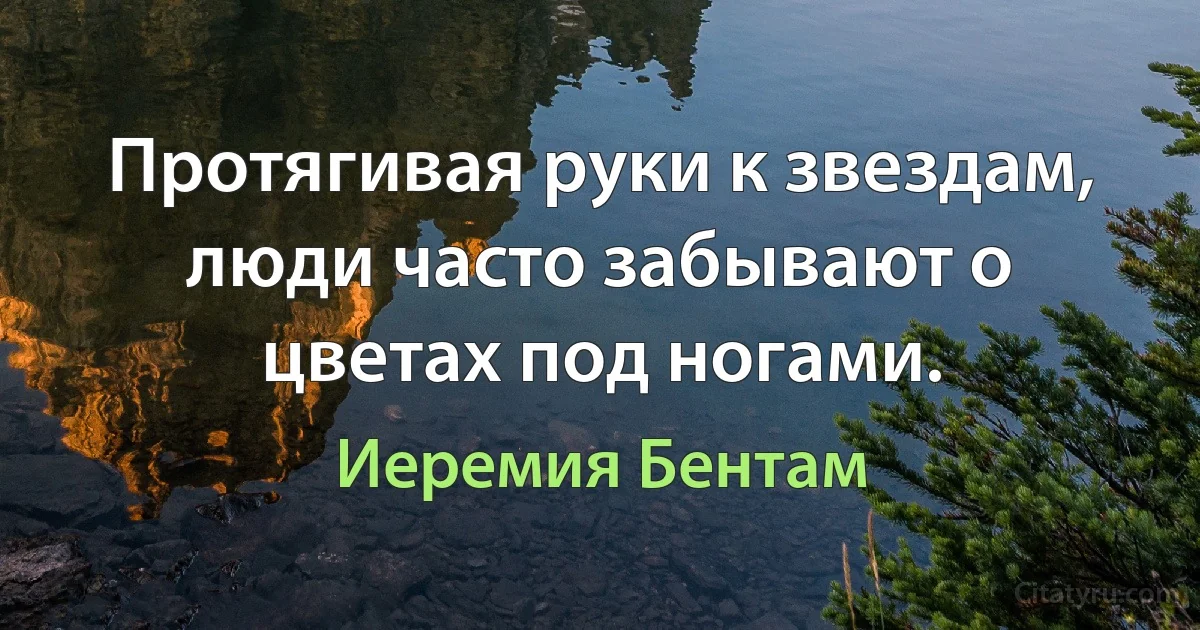 Протягивая руки к звездам, люди часто забывают о цветах под ногами. (Иеремия Бентам)