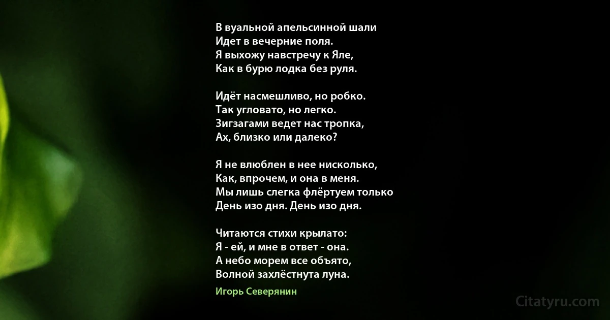 В вуальной апельсинной шали 
Идет в вечерние поля. 
Я выхожу навстречу к Яле, 
Как в бурю лодка без руля.

Идёт насмешливо, но робко. 
Так угловато, но легко. 
Зигзагами ведет нас тропка, 
Ах, близко или далеко?

Я не влюблен в нее нисколько, 
Как, впрочем, и она в меня. 
Мы лишь слегка флёртуем только 
День изо дня. День изо дня.

Читаются стихи крылато:
Я - ей, и мне в ответ - она. 
А небо морем все объято, 
Волной захлёстнута луна. (Игорь Северянин)