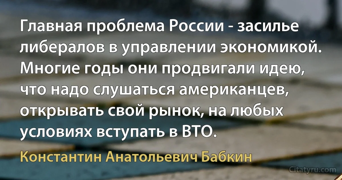 Главная проблема России - засилье либералов в управлении экономикой. Многие годы они продвигали идею, что надо слушаться американцев, открывать свой рынок, на любых условиях вступать в ВТО. (Константин Анатольевич Бабкин)