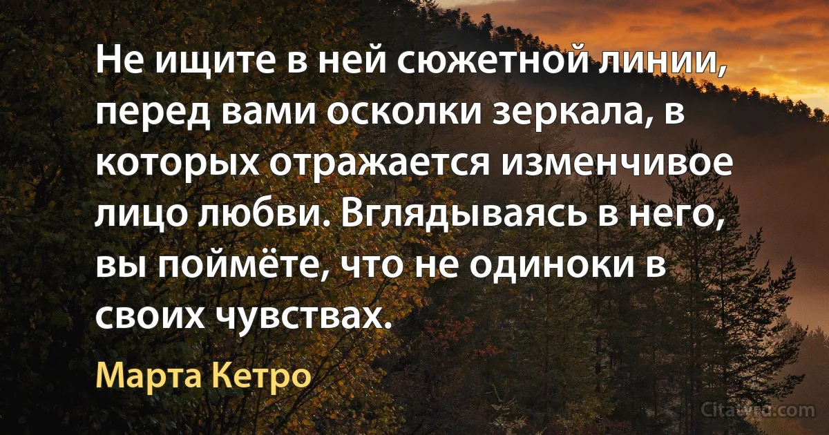 Не ищите в ней сюжетной линии, перед вами осколки зеркала, в которых отражается изменчивое лицо любви. Вглядываясь в него, вы поймёте, что не одиноки в своих чувствах. (Марта Кетро)