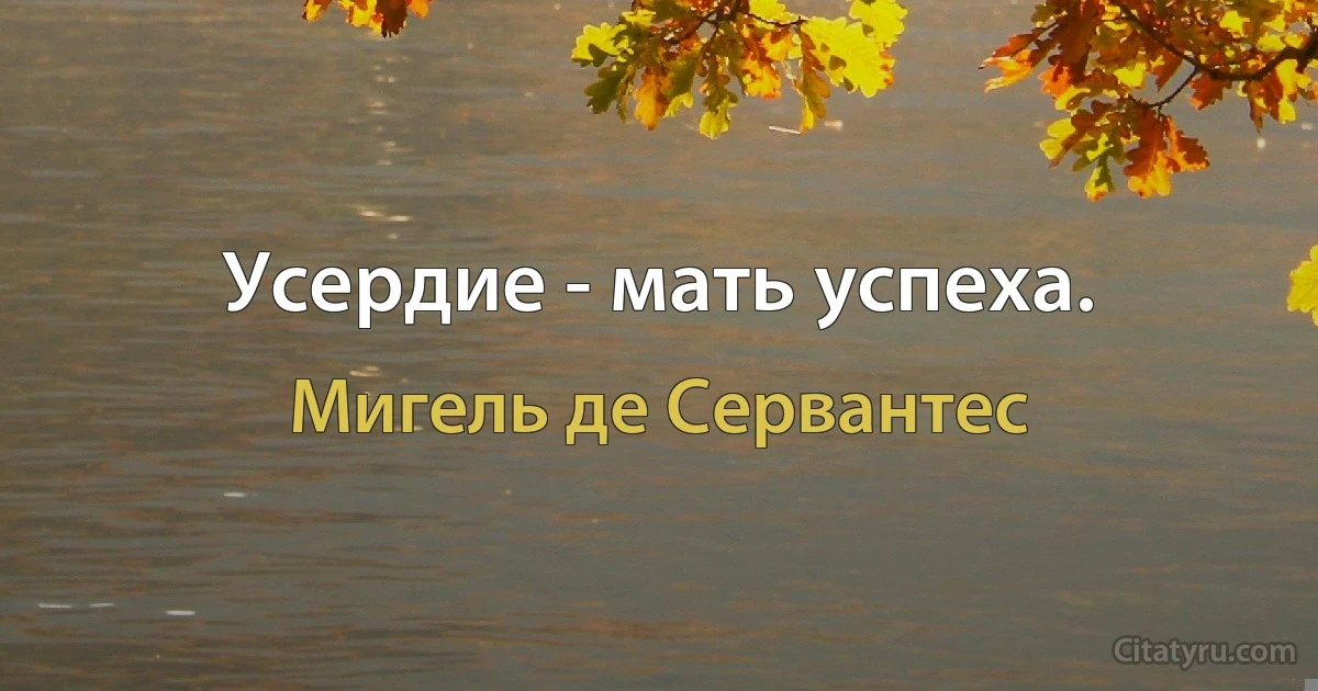 Усердие - мать успеха. (Мигель де Сервантес)