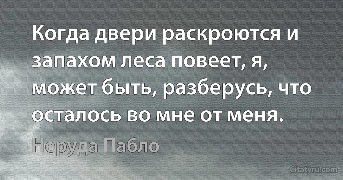 Когда двери раскроются и запахом леса повеет, я, может быть, разберусь, что осталось во мне от меня. (Неруда Пабло)