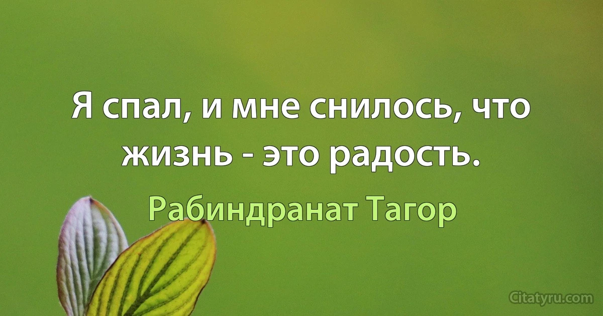 Я спал, и мне снилось, что жизнь - это радость. (Рабиндранат Тагор)