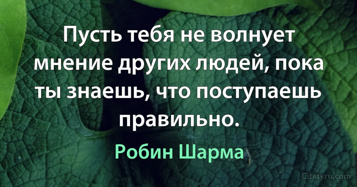 Пусть тебя не волнует мнение других людей, пока ты знаешь, что поступаешь правильно. (Робин Шарма)