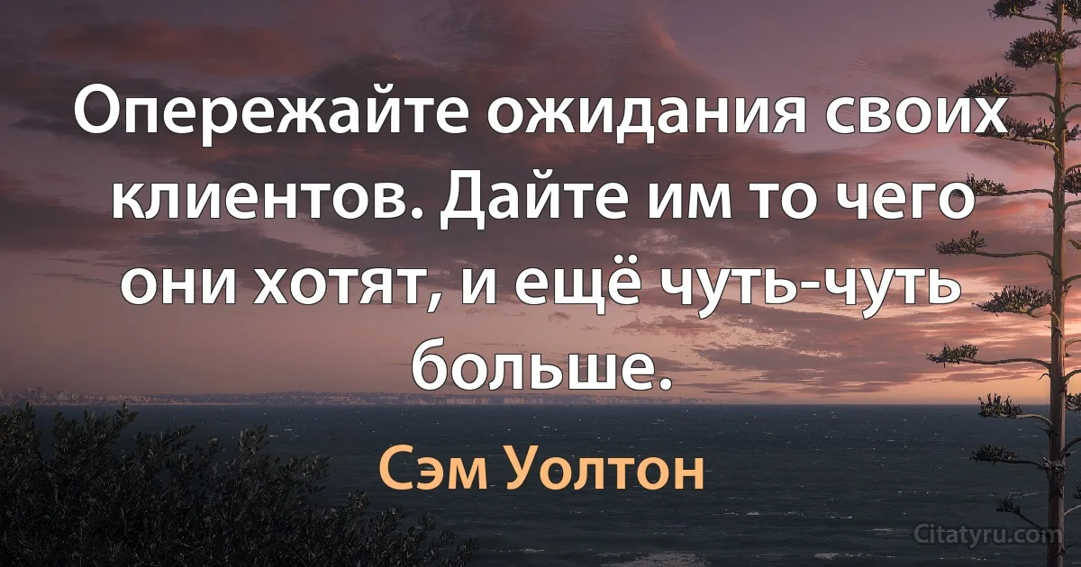 Опережайте ожидания своих клиентов. Дайте им то чего они хотят, и ещё чуть-чуть больше. (Сэм Уолтон)