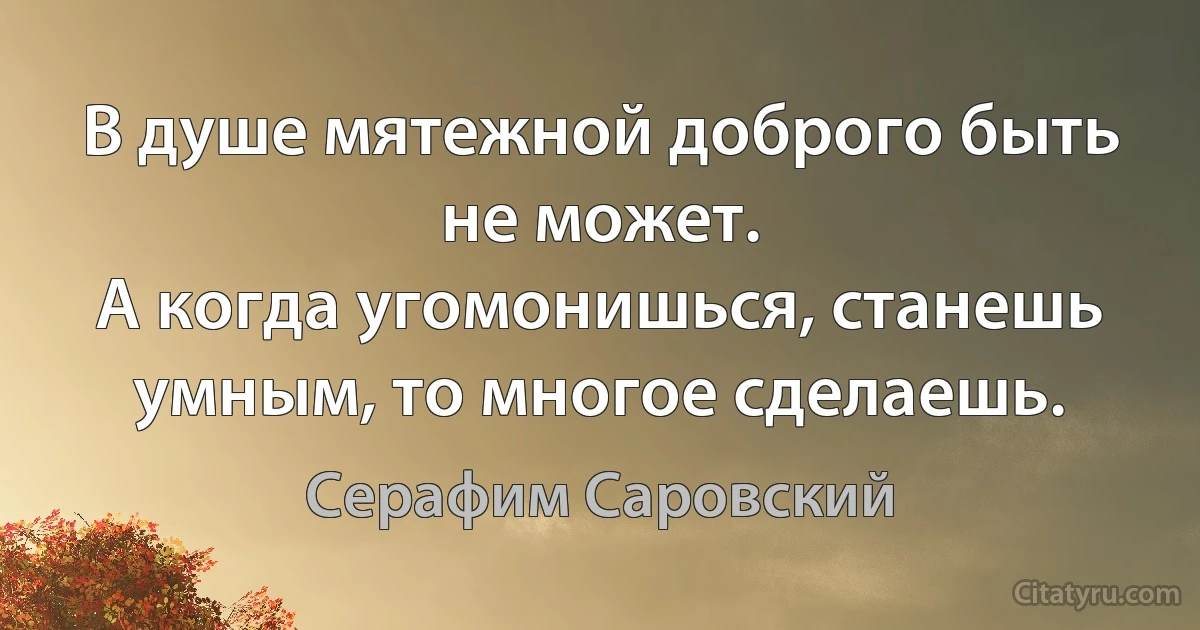 В душе мятежной доброго быть не может.
А когда угомонишься, станешь умным, то многое сделаешь. (Серафим Саровский)