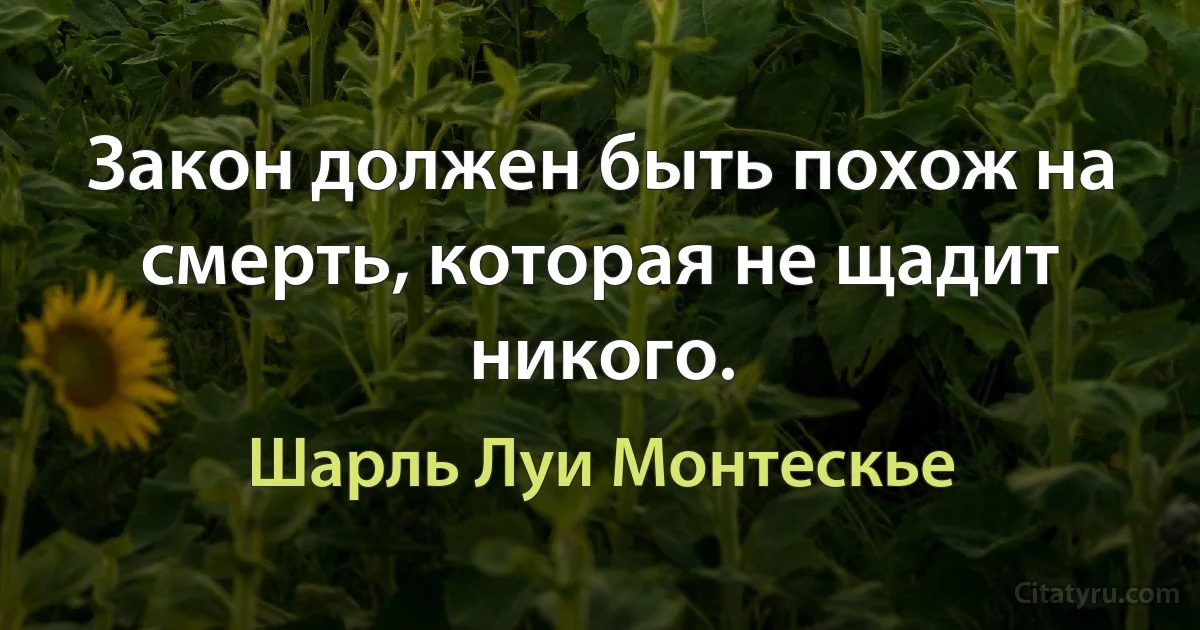 Закон должен быть похож на смерть, которая не щадит никого. (Шарль Луи Монтескье)