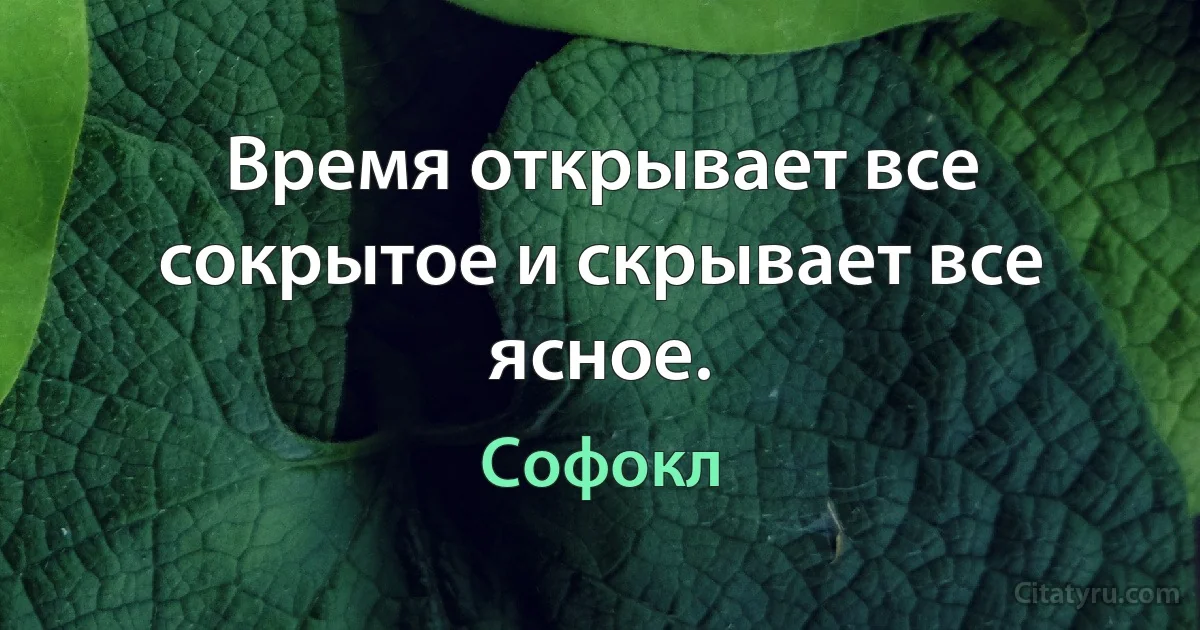 Время открывает все сокрытое и скрывает все ясное. (Софокл)