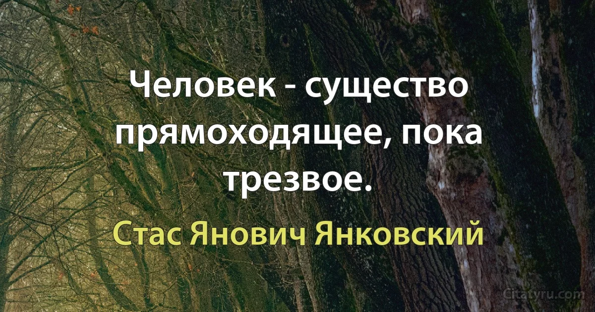 Человек - существо прямоходящее, пока трезвое. (Стас Янович Янковский)