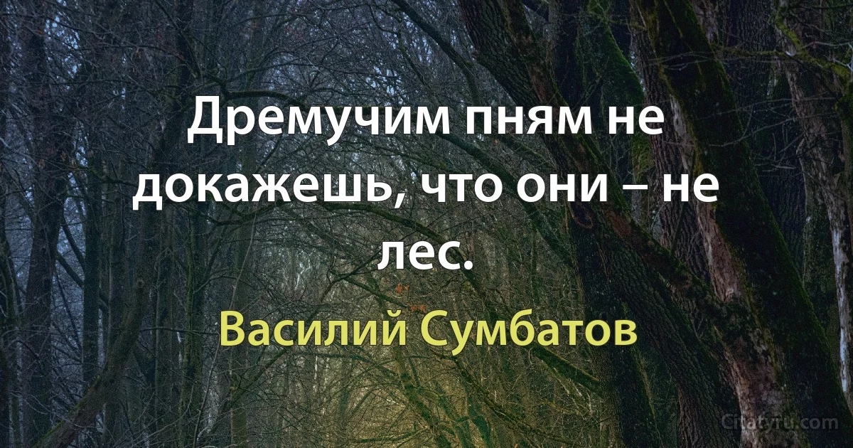 Дремучим пням не докажешь, что они – не лес. (Василий Сумбатов)