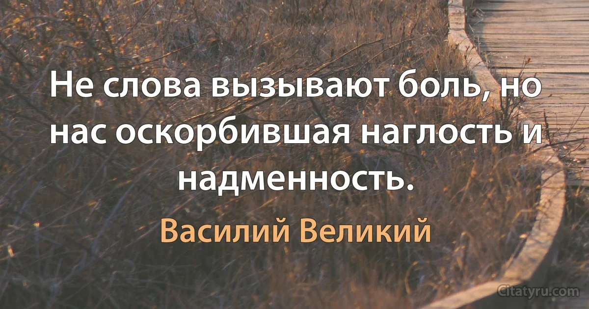 Не слова вызывают боль, но нас оскорбившая наглость и надменность. (Василий Великий)