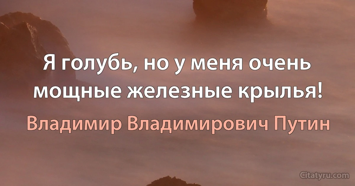 Я голубь, но у меня очень мощные железные крылья! (Владимир Владимирович Путин)