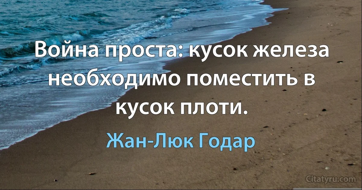 Война проста: кусок железа необходимо поместить в кусок плоти. (Жан-Люк Годар)