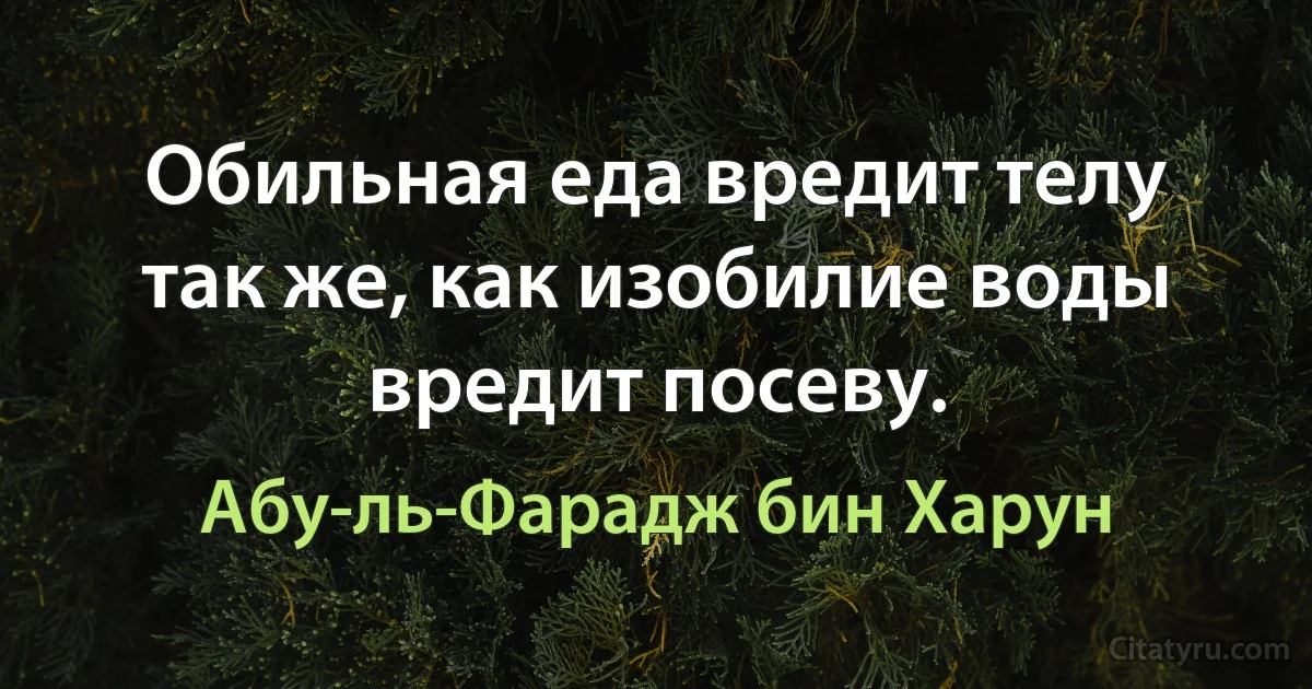 Обильная еда вредит телу так же, как изобилие воды вредит посеву. (Абу-ль-Фарадж бин Харун)