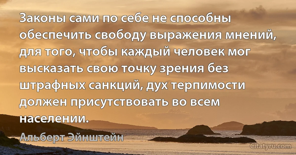 Законы сами по себе не способны обеспечить свободу выражения мнений, для того, чтобы каждый человек мог высказать свою точку зрения без штрафных санкций, дух терпимости должен присутствовать во всем населении. (Альберт Эйнштейн)