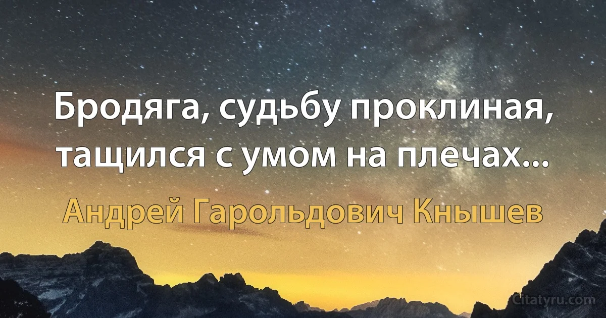 Бродяга, судьбу проклиная, тащился с умом на плечах... (Андрей Гарольдович Кнышев)