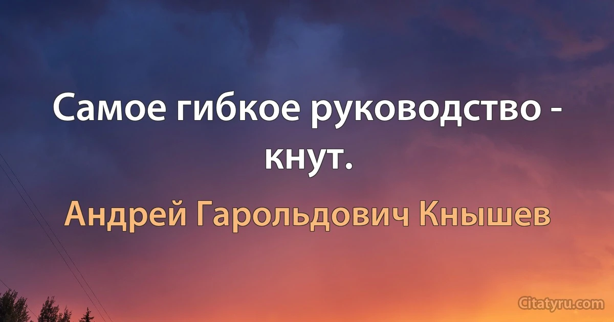 Самое гибкое руководство - кнут. (Андрей Гарольдович Кнышев)