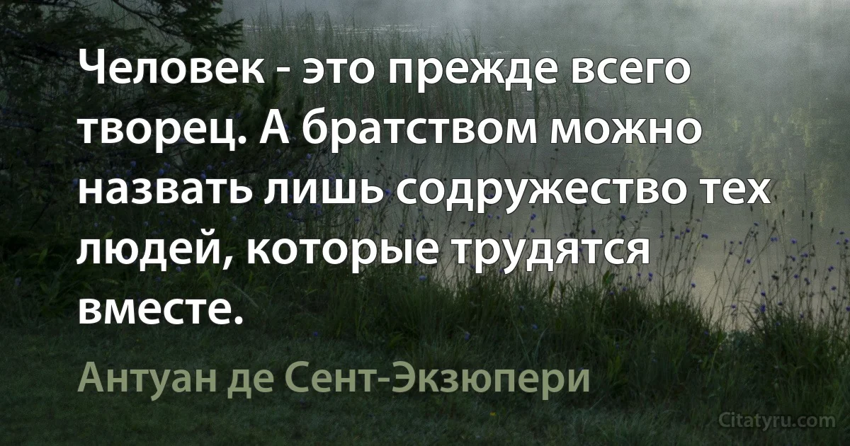 Человек - это прежде всего творец. А братством можно назвать лишь содружество тех людей, которые трудятся вместе. (Антуан де Сент-Экзюпери)