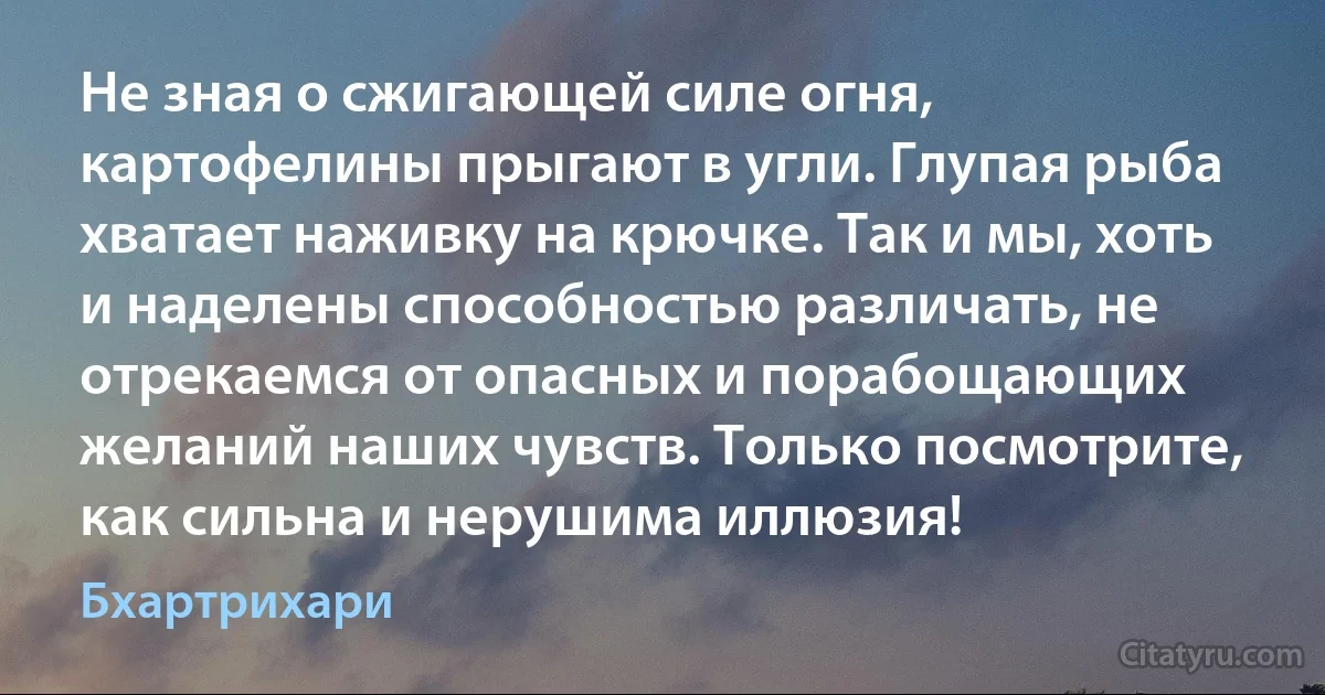 Не зная о сжигающей силе огня, картофелины прыгают в угли. Глупая рыба хватает наживку на крючке. Так и мы, хоть и наделены способностью различать, не отрекаемся от опасных и порабощающих желаний наших чувств. Только посмотрите, как сильна и нерушима иллюзия! (Бхартрихари)