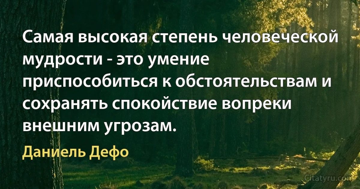 Самая высокая степень человеческой мудрости - это умение приспособиться к обстоятельствам и сохранять спокойствие вопреки внешним угрозам. (Даниель Дефо)