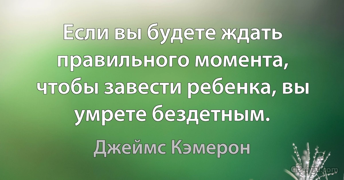 Если вы будете ждать правильного момента, чтобы завести ребенка, вы умрете бездетным. (Джеймс Кэмерон)