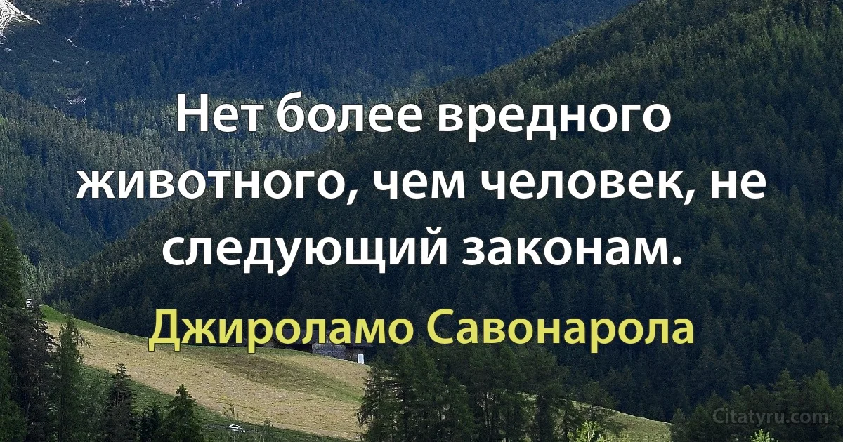 Нет более вредного животного, чем человек, не следующий законам. (Джироламо Савонарола)