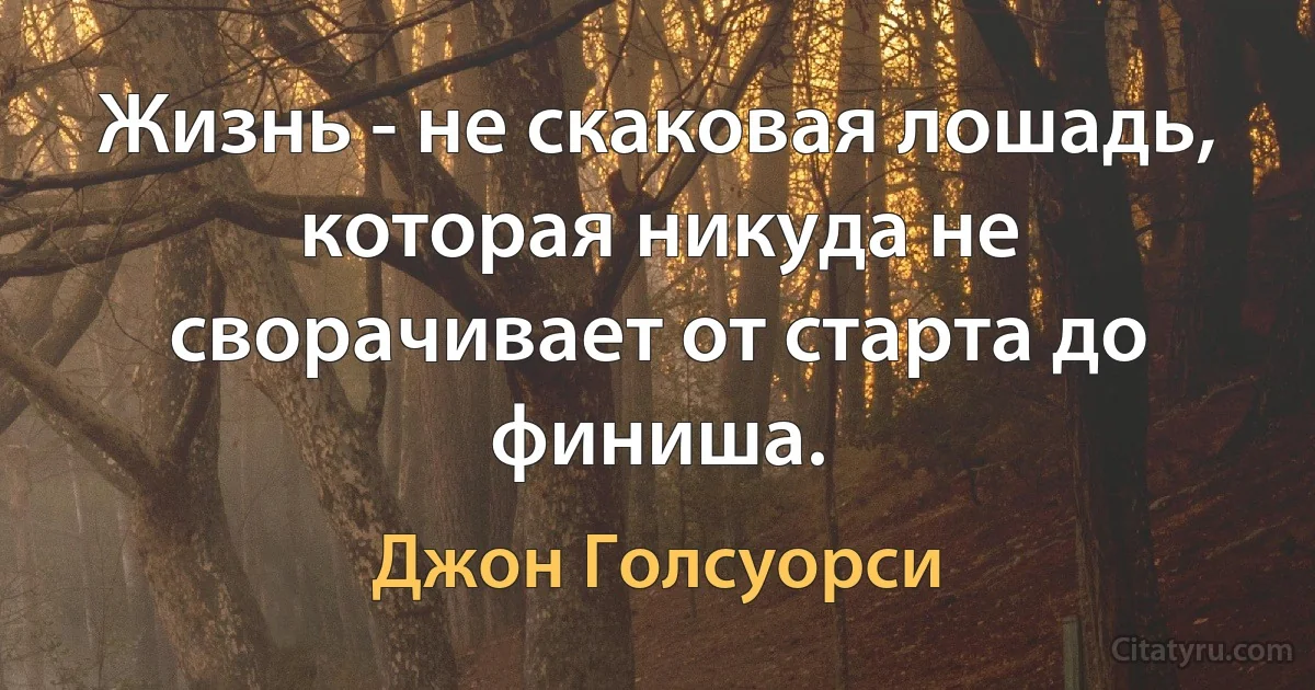 Жизнь - не скаковая лошадь, которая никуда не сворачивает от старта до финиша. (Джон Голсуорси)