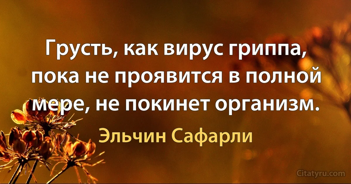 Грусть, как вирус гриппа, пока не проявится в полной мере, не покинет организм. (Эльчин Сафарли)