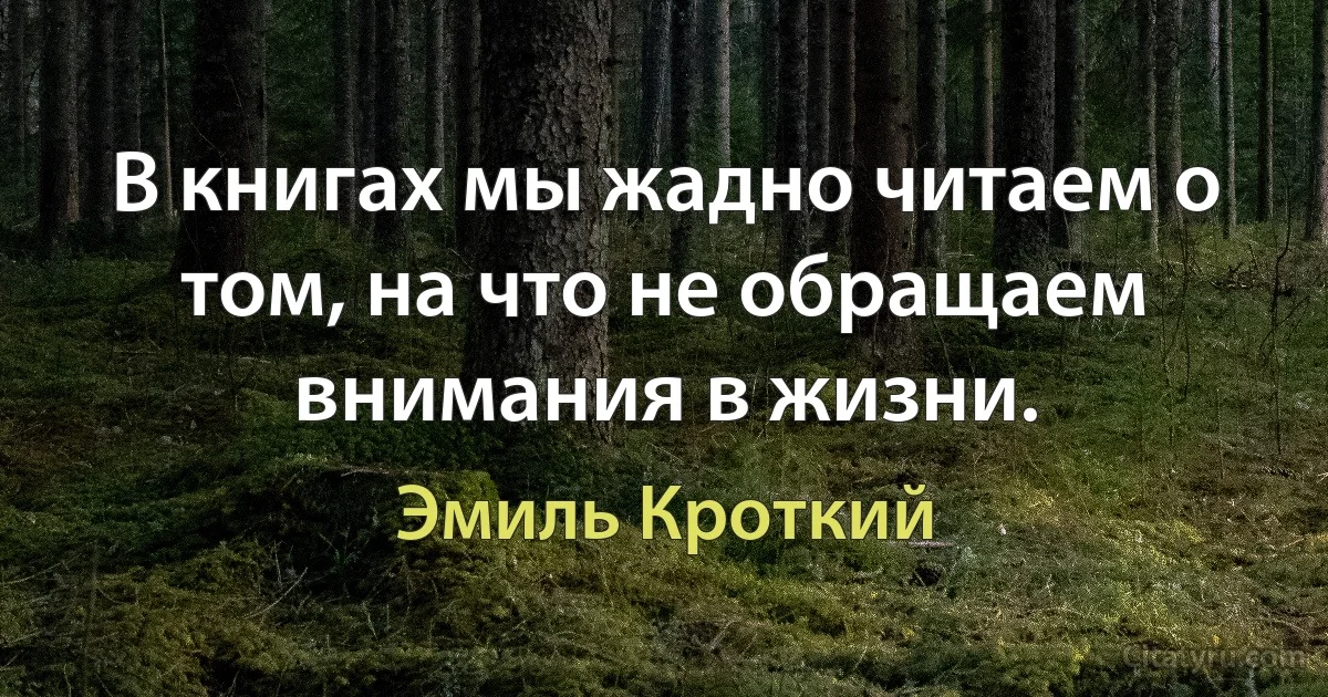 В книгах мы жадно читаем о том, на что не обращаем внимания в жизни. (Эмиль Кроткий)