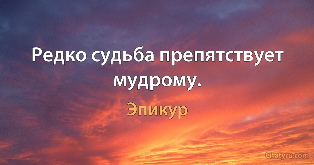 Редко судьба препятствует мудрому. (Эпикур)