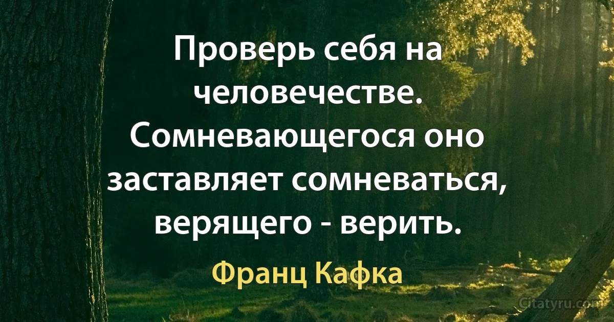 Проверь себя на человечестве. Сомневающегося оно заставляет сомневаться, верящего - верить. (Франц Кафка)