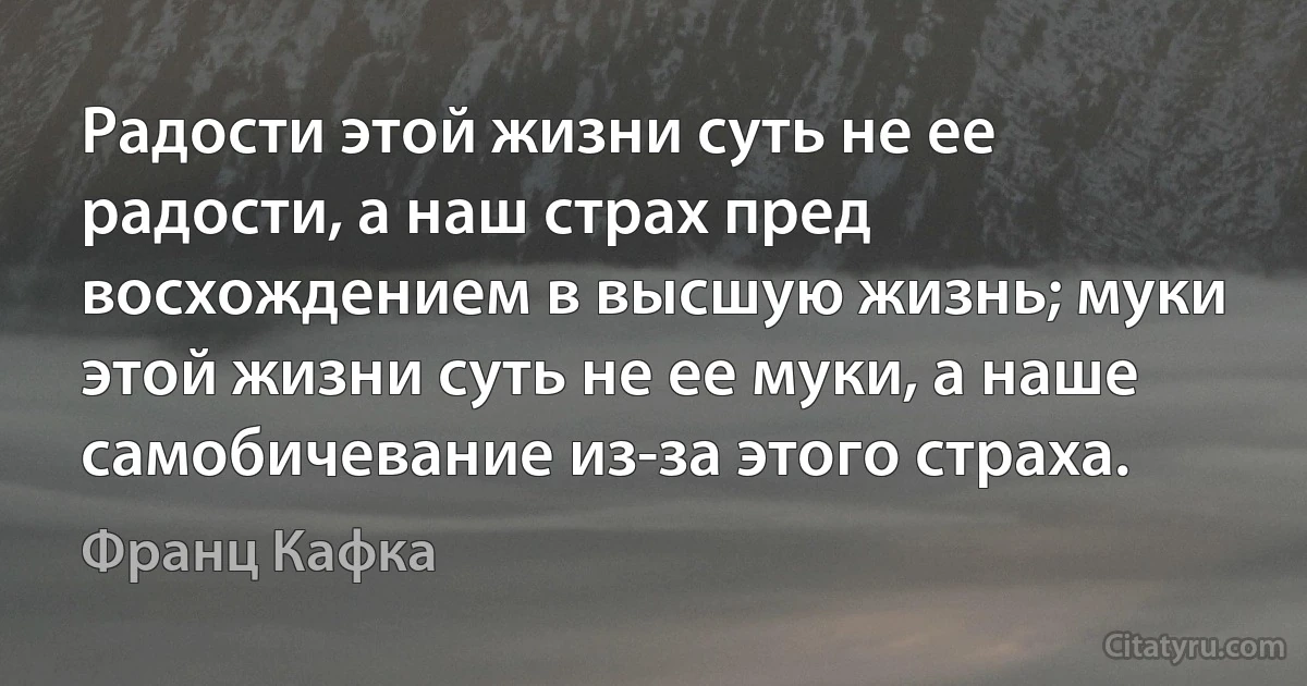 Радости этой жизни суть не ее радости, а наш страх пред восхождением в высшую жизнь; муки этой жизни суть не ее муки, а наше самобичевание из-за этого страха. (Франц Кафка)