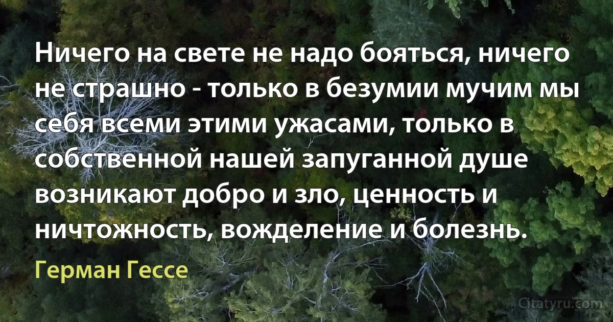 Ничего на свете не надо бояться, ничего не страшно - только в безумии мучим мы себя всеми этими ужасами, только в собственной нашей запуганной душе возникают добро и зло, ценность и ничтожность, вожделение и болезнь. (Герман Гессе)