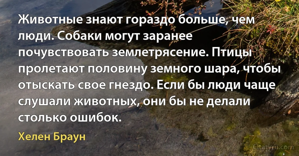 Животные знают гораздо больше, чем люди. Собаки могут заранее почувствовать землетрясение. Птицы пролетают половину земного шара, чтобы отыскать свое гнездо. Если бы люди чаще слушали животных, они бы не делали столько ошибок. (Хелен Браун)