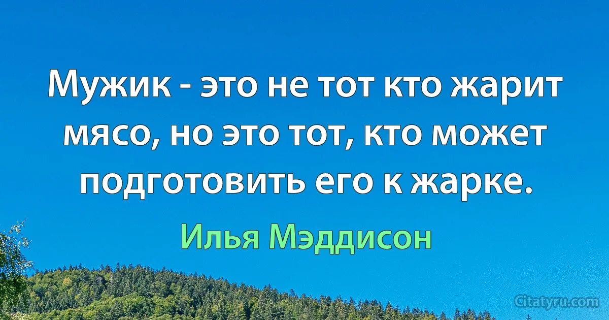 Мужик - это не тот кто жарит мясо, но это тот, кто может подготовить его к жарке. (Илья Мэддисон)