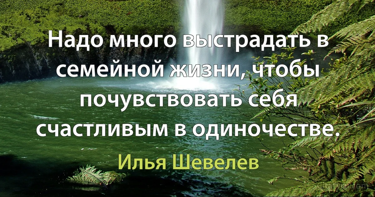 Надо много выстрадать в семейной жизни, чтобы почувствовать себя счастливым в одиночестве. (Илья Шевелев)